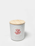 Tropical Citrus Cozy 10 oz scented candle