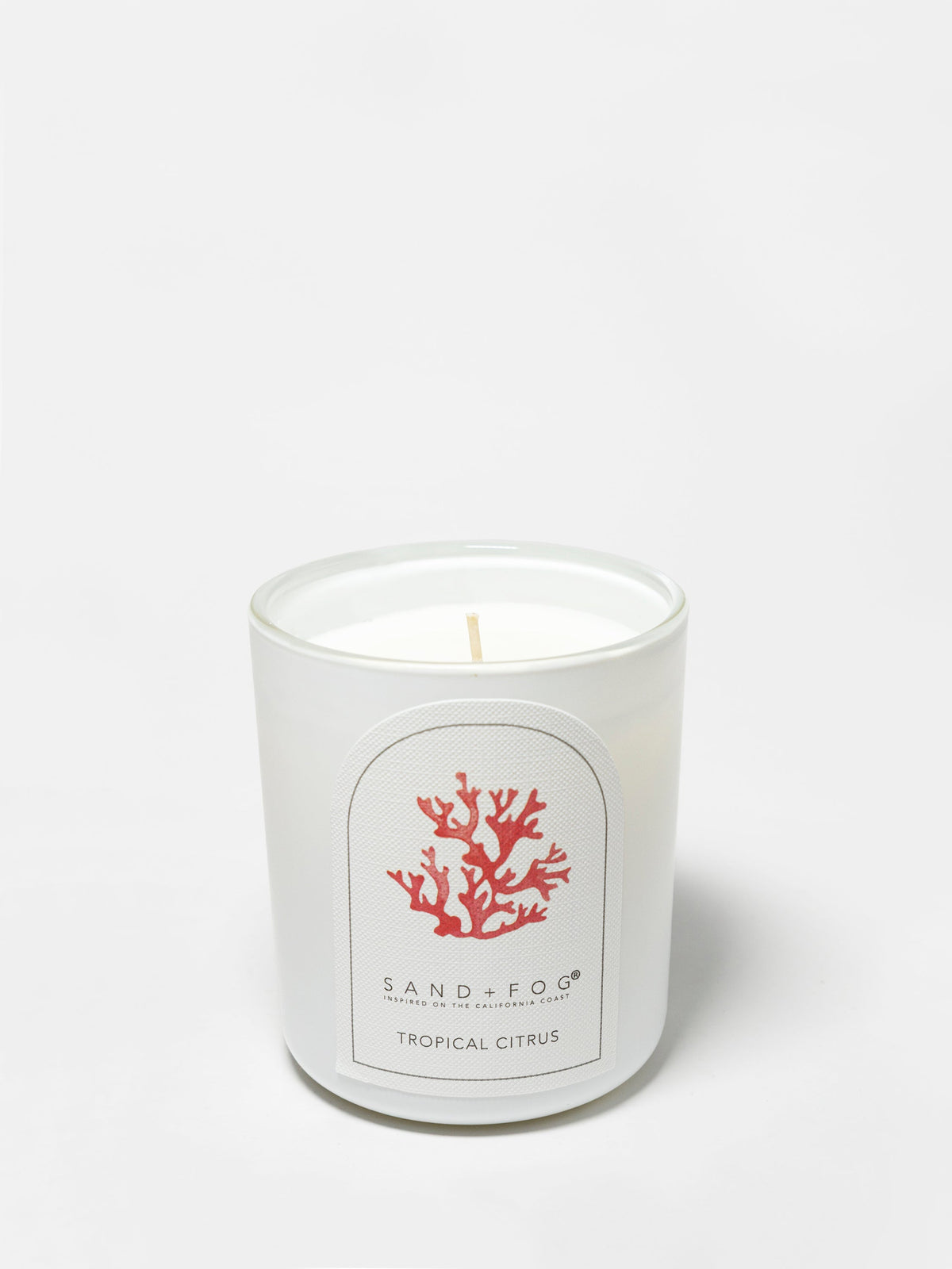 Tropical Citrus Cozy 10 oz scented candle