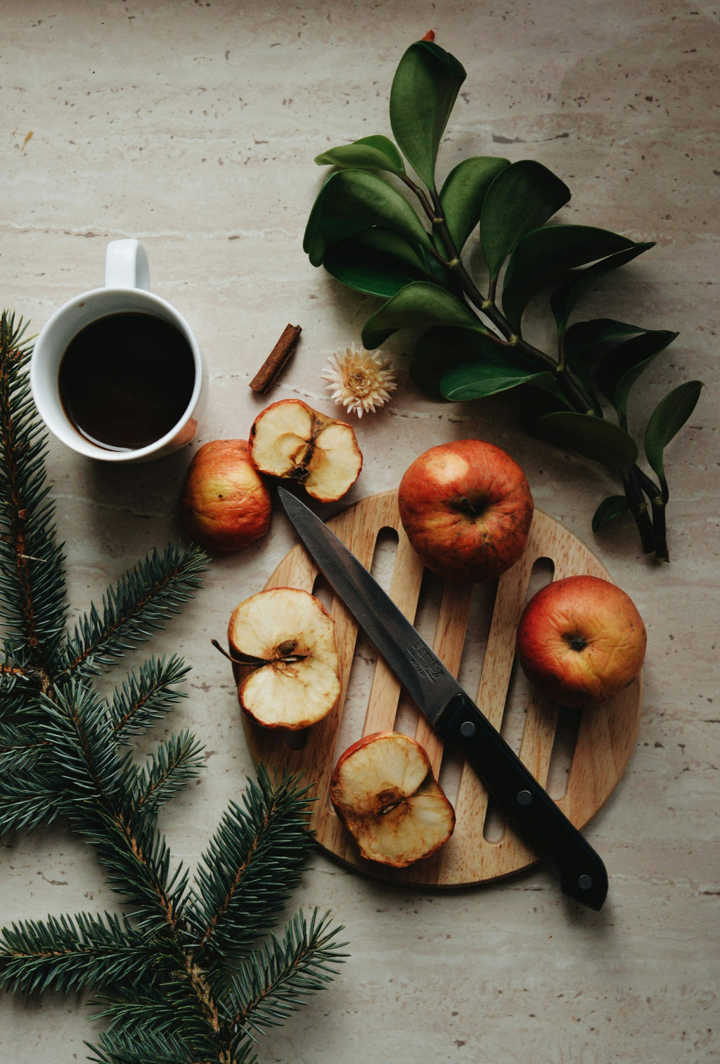 Apple Spice Cozy 12 oz scented candle
