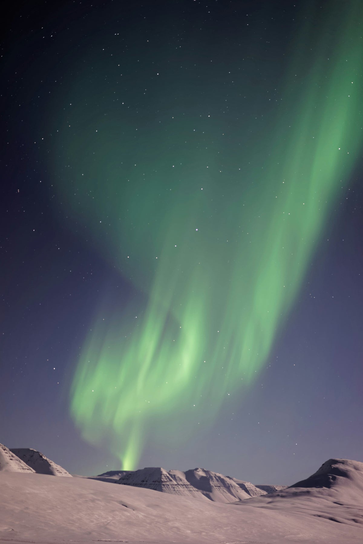 Night Skies Luxurious 50ml Perfume Oil Rollerball