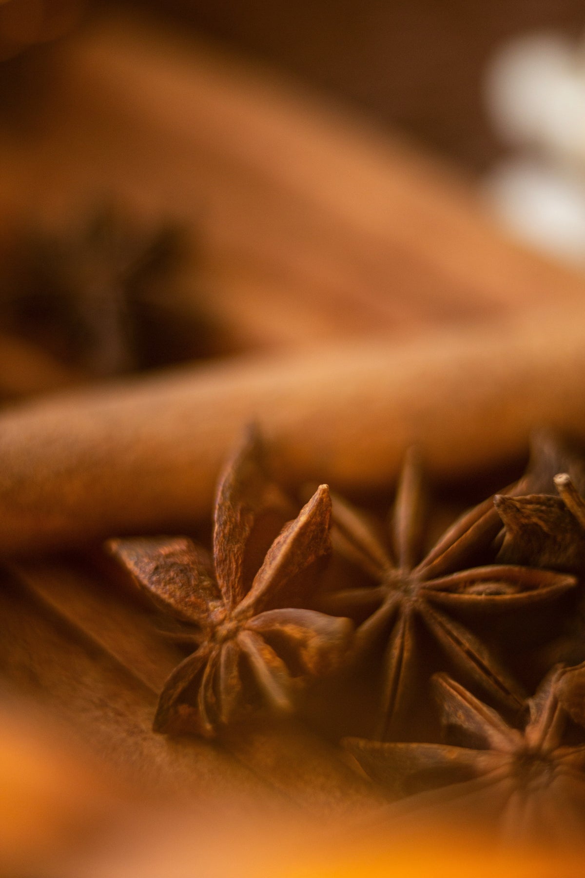 Cinnamon Reserve Luxurious 50 ml Perfume Oil Dropper